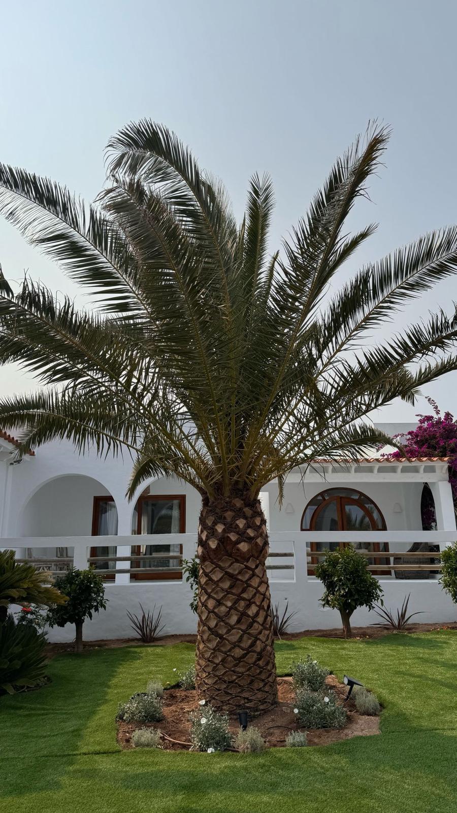 VILLA VERA