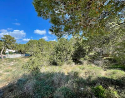 Land with approved construction project in es pujols – T39
