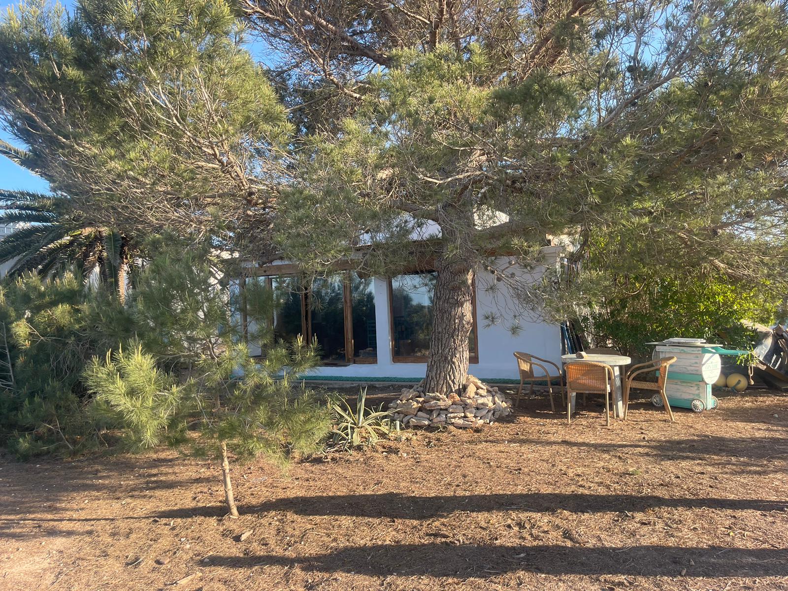 Villa de 4 Dormitorios en Porto Saler – Formentera V88