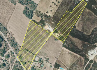 LAND FOR SALE IN PORTO SALER – FORMENTERA T06