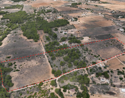 TERRENOS EN VENTA A LA MOLA – FORMENTERA T45